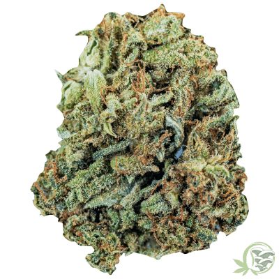 CBD Dana Weed Strain at SacredMeds