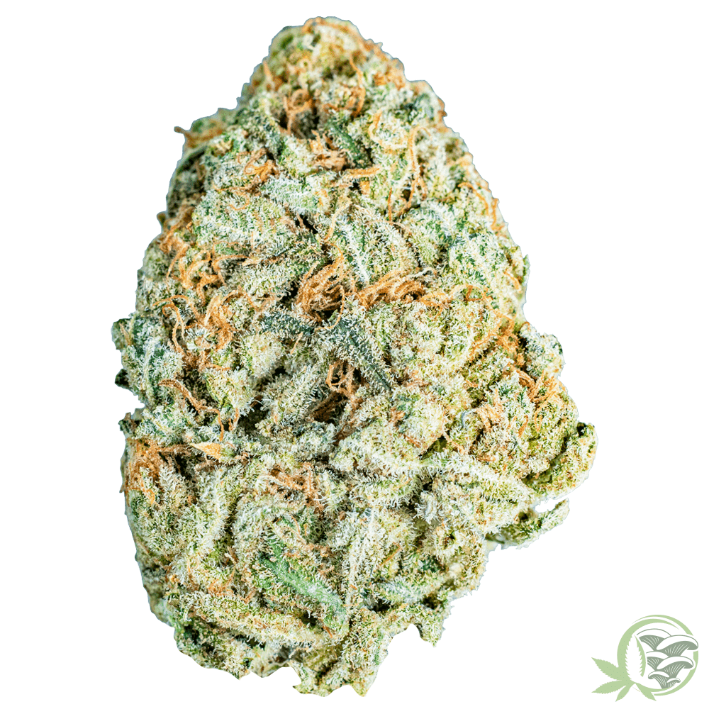 White Zombie Weed Strain at SacredMeds