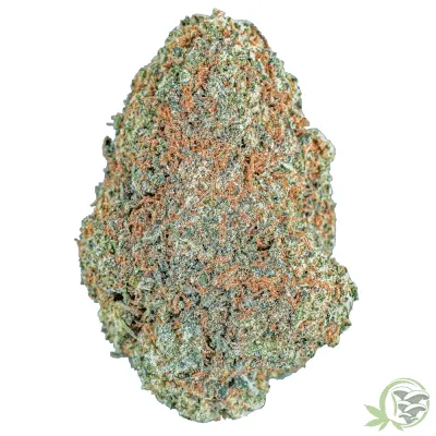 Zombie OG Weed Strain at SacredMeds