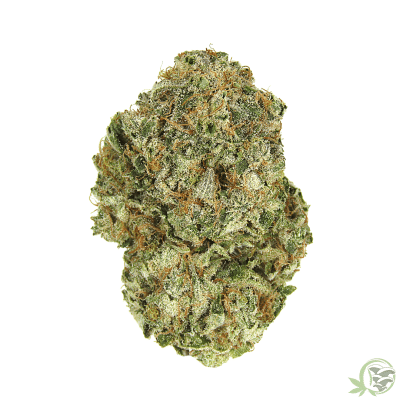 Chemdog Chemdawg Cannabis Marijuana Indica
