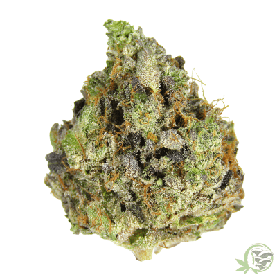 Kush Lindsay OG Indica Hybrid Cannabis