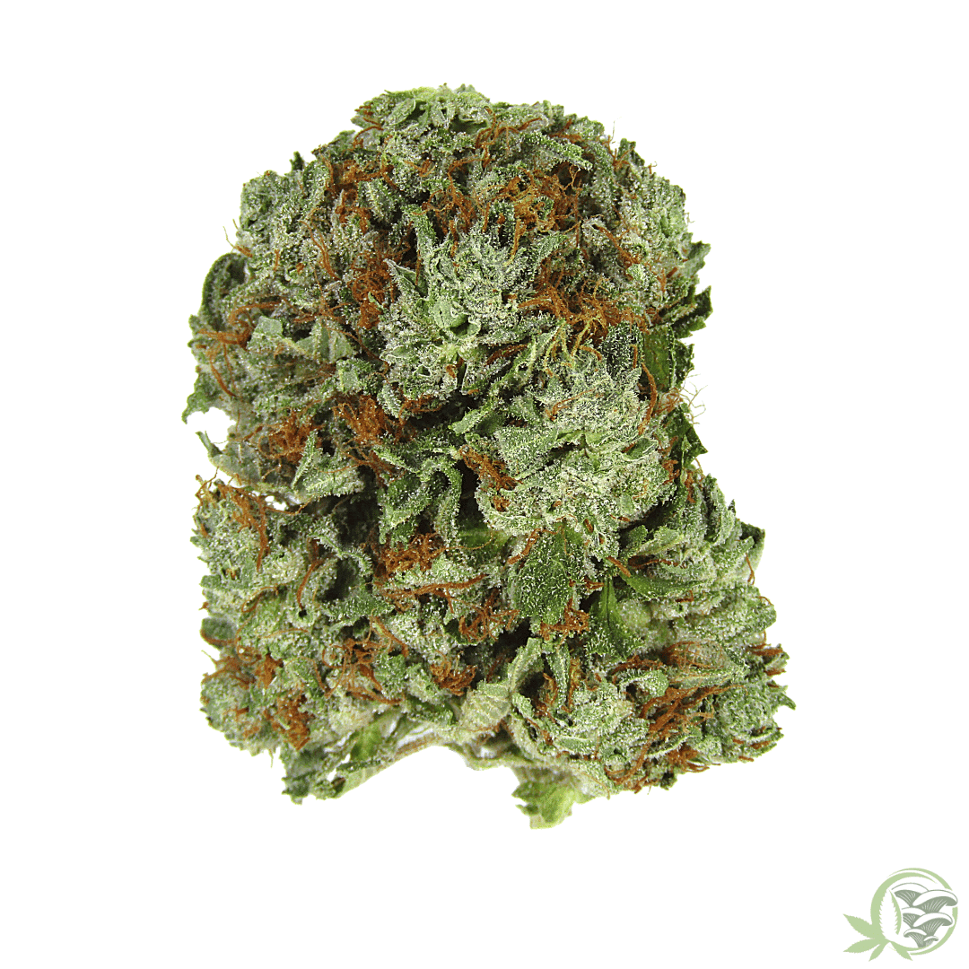 Kush Master Cannabis Marijuana Strain