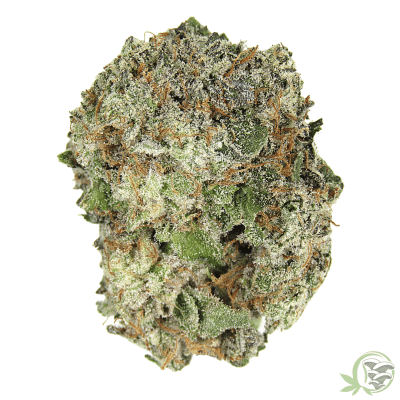 black sugar rose indica dominant hybrid cannabis strains
