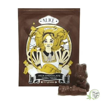 Milk Chocolate Mushrooms Golden Teachers Psilocybin