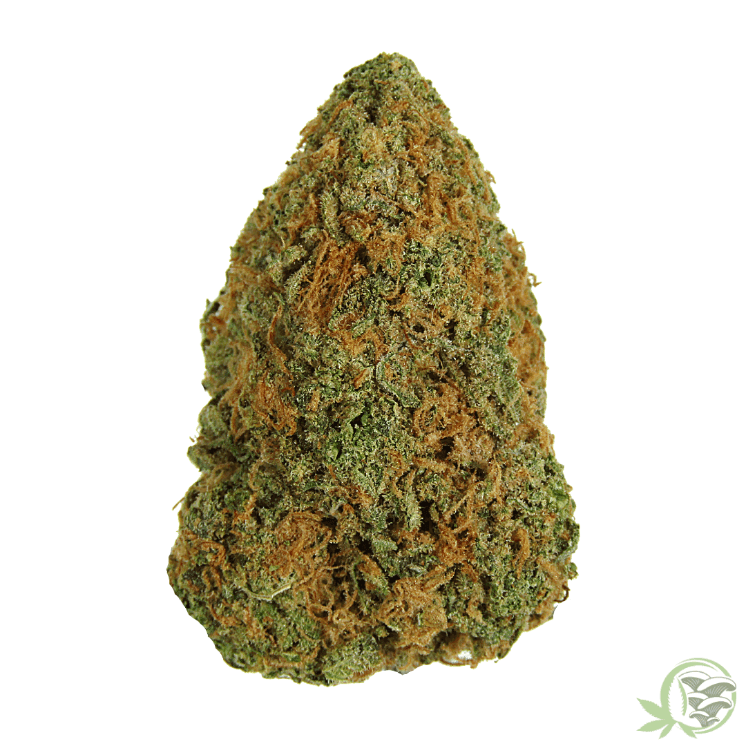 Banana CLips Indica Dominant Hybrid