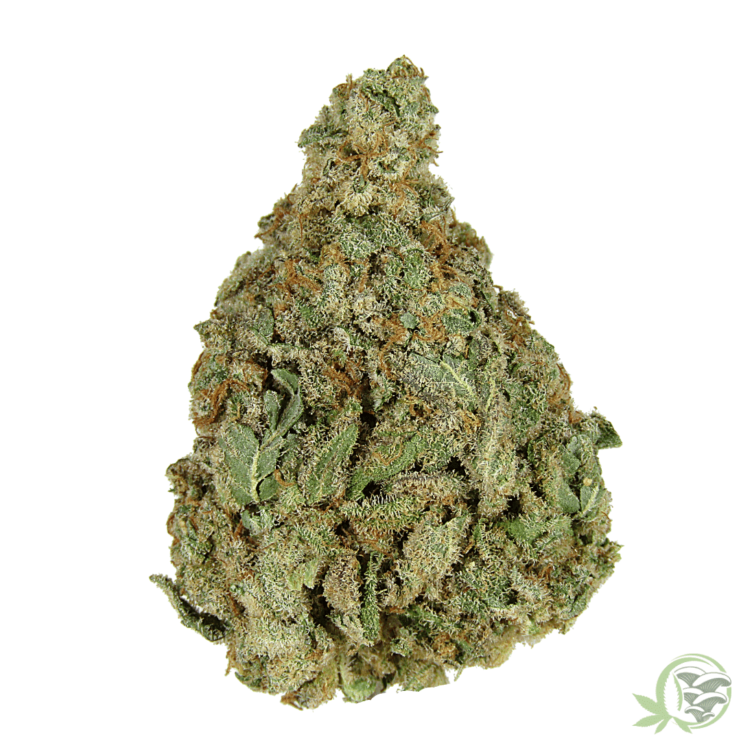 Florida Sundae pure indica hybrid