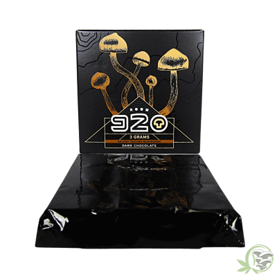 Dark Chocolate Mushroom Bar by Room 920