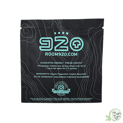 Moroccan Mont Mushroom Tea by Room 920