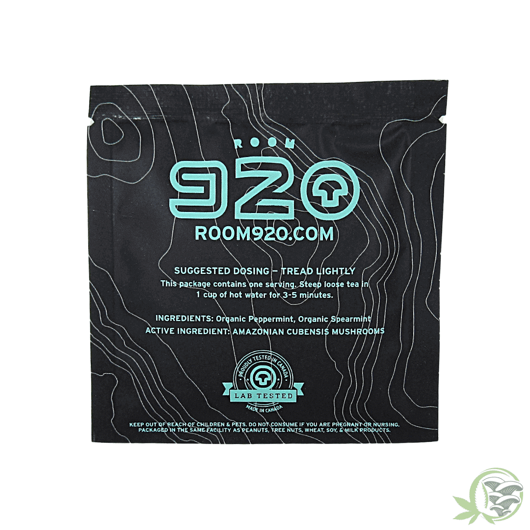 Moroccan Mont Mushroom Tea by Room 920