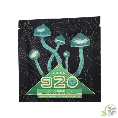 Room 920 Moroccan Mint mushroom Tea