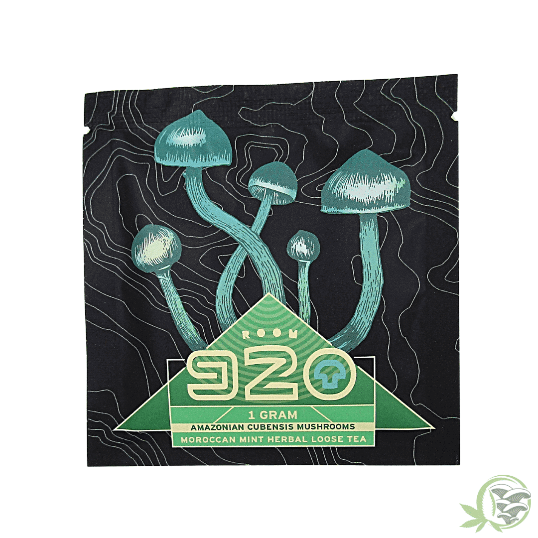 Room 920 Moroccan Mint mushroom Tea