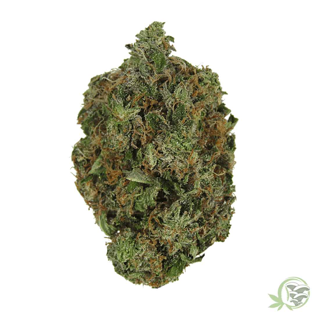 Master Pink Kush Indica Hybrid