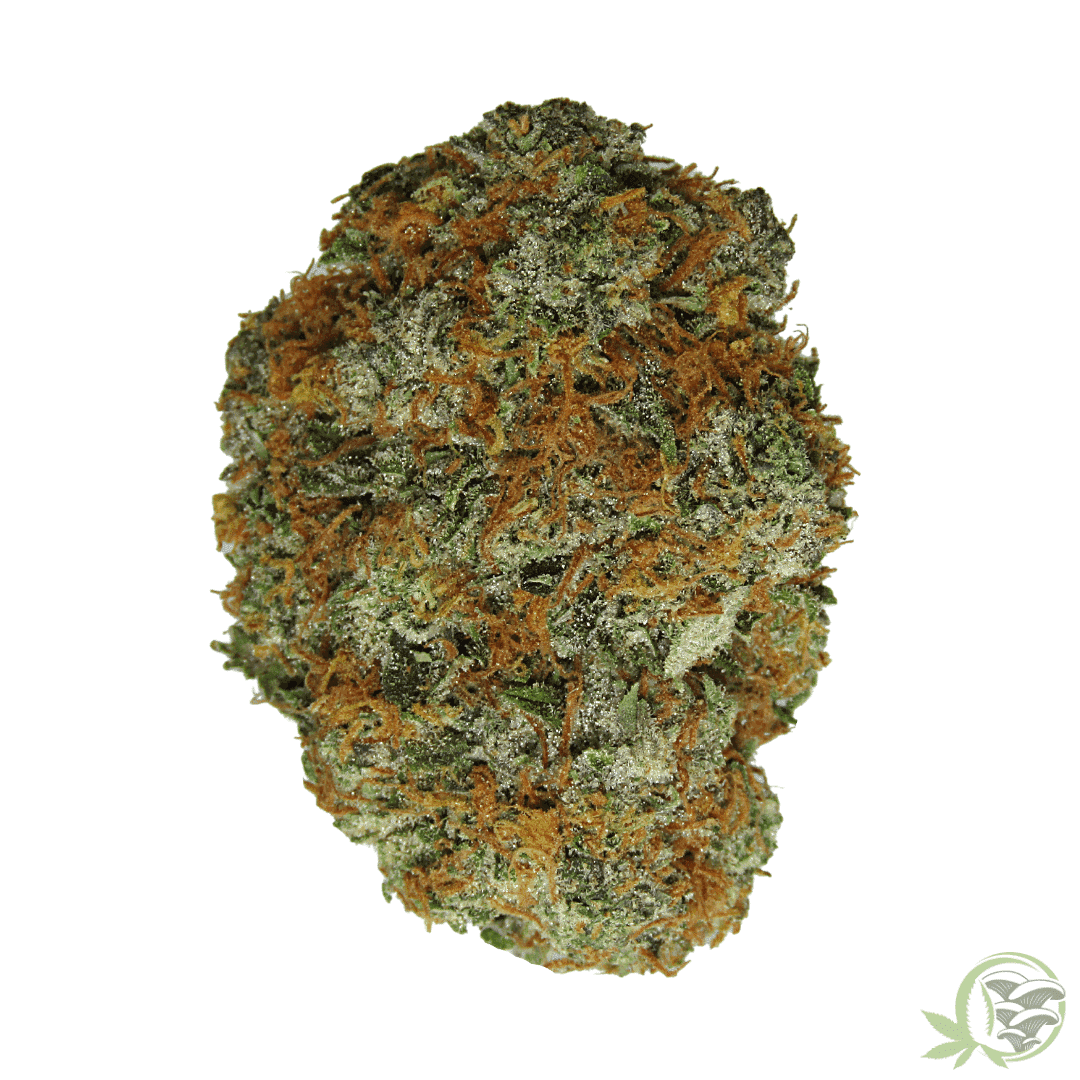 Meat Breath Balanced Hybrid Meatbreath