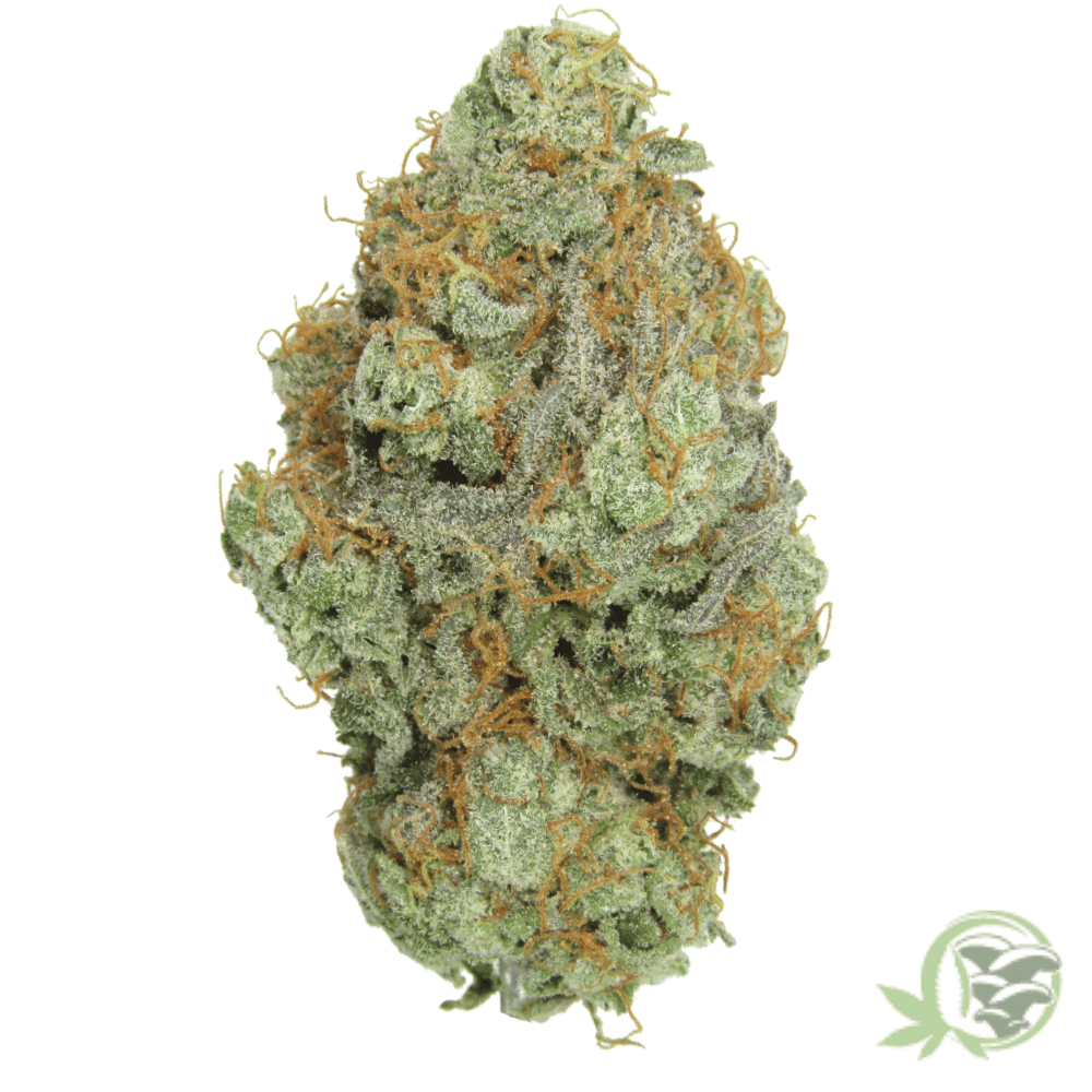 The best online dispensary for weed in Canada.