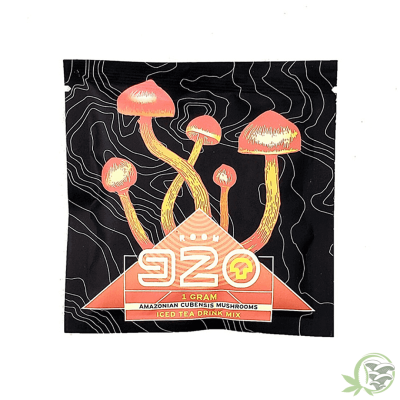 Mushroom Iced Tea by Room 920