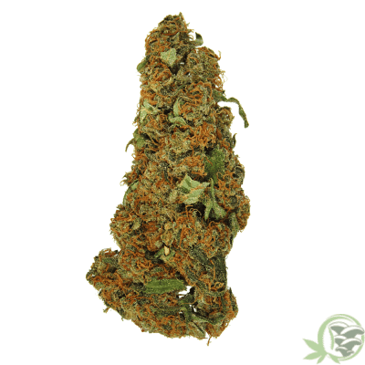 CBD Sunkiss Weed Strain available online at SacredMeds