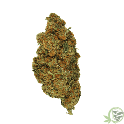 CBD Sunkiss Weed Strain available online at SacredMeds