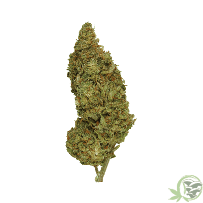 Buy weed online in Canada