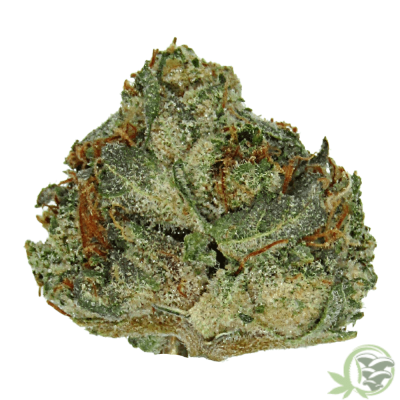 Buy Rockstar weed strain online in Canada