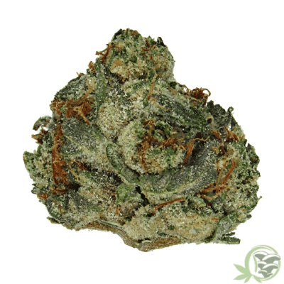 Buy Rockstar weed strain online in Canada