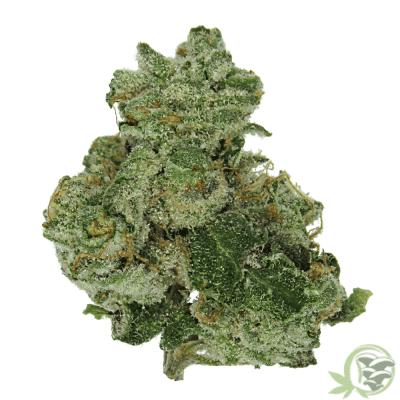 Buy Wedding Cake weed strain online in Canada