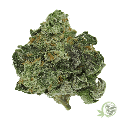 Buy Wedding Cake weed strain online in Canada