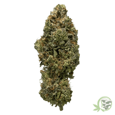 The best online dispensary in Canada for Weed and Magic Mushrooms