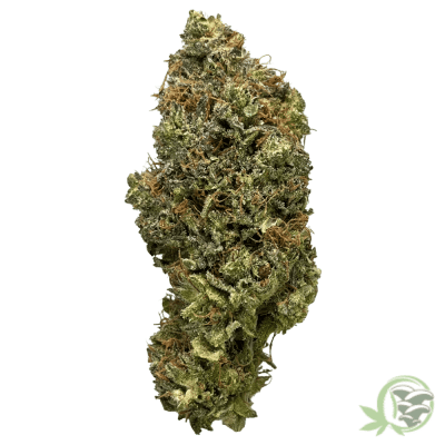 The best online dispensary in Canada for Weed and Magic Mushrooms