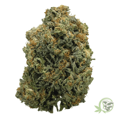 Pre-98 Bubba Kush Weed Strain at SacredMeds