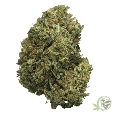 Pre-98 Bubba Kush Weed Strain at SacredMeds