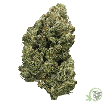 Pre-98 Bubba Kush Weed Strain at SacredMeds