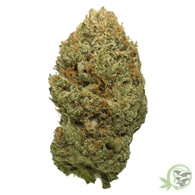 The best online dispensary for Weed and Magic Mushrooms in Canada