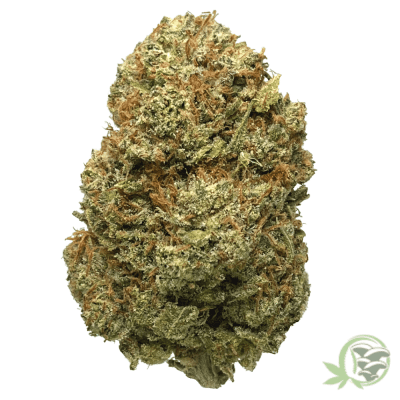 The best online dispensary for Weed and Magic Mushrooms in Canada