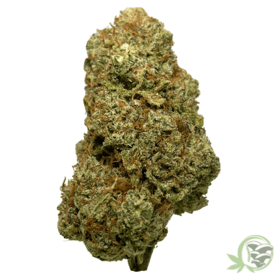 The best online dispensary for Weed and Magic Mushrooms in Canada