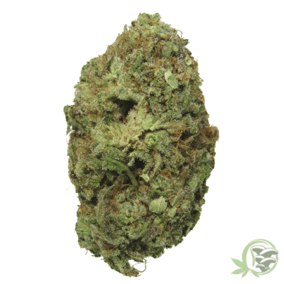The best online dispensary for craft cannabis in canada