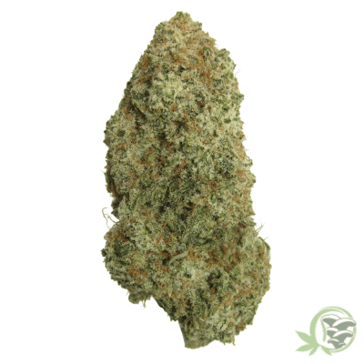 The best online cannabis dispensary in Canada