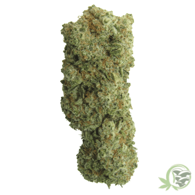 The best online cannabis dispensary in Canada