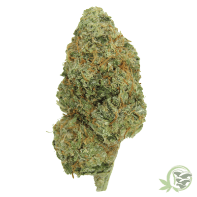 The best online dispensary for cannabis in Canada.