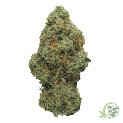 The best online dispensary for cannabis in Canada.