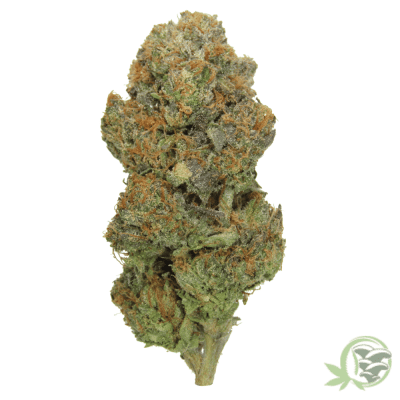 The best online dispensary for weed in Canada.