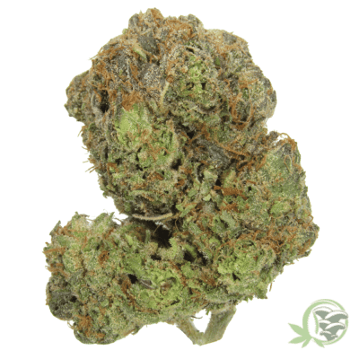 The best online dispensary for weed in Canada.