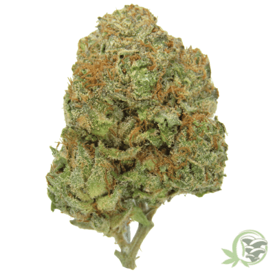 The best online dispensary for weed in Canada.