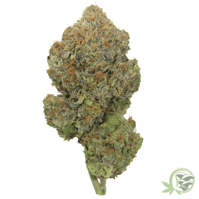 The best online dispensary for weed in Canada.