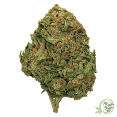 The best online dispensary for weed in Canada