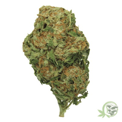The best online dispensary for weed in Canada