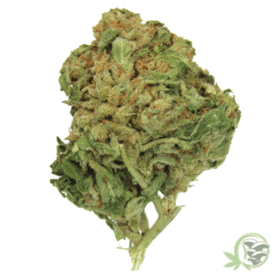 The best online dispensary for weed in Canada