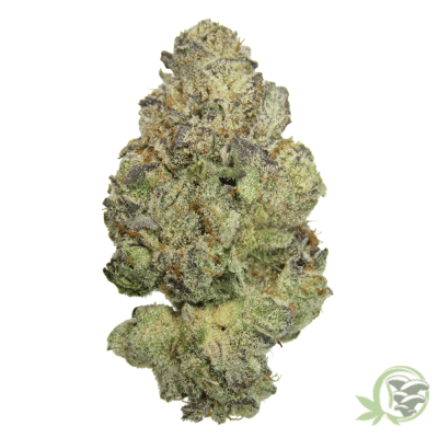The best online dispensary in Canada for Weed, Magic Mushrooms and Psychedelics