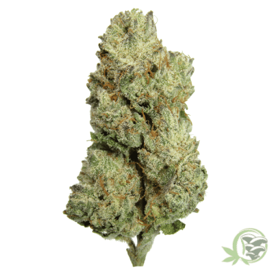 The best online dispensary in Canada for Weed, Magic Mushrooms and Psychedelics