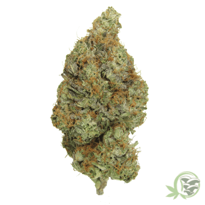 The best weed available online in Canada