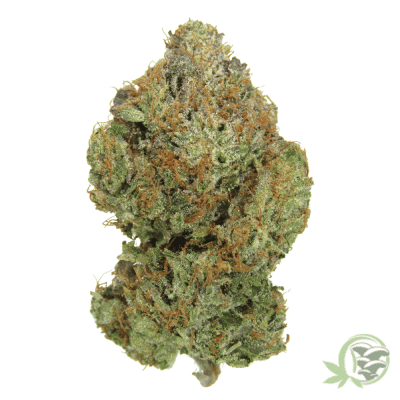 The best weed available online in Canada